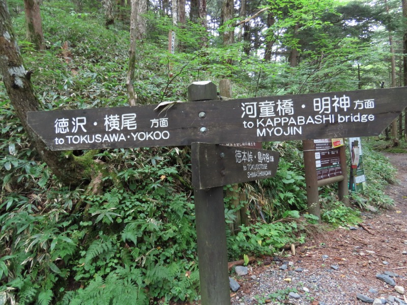 蝶ヶ岳、上高地右岸歩道