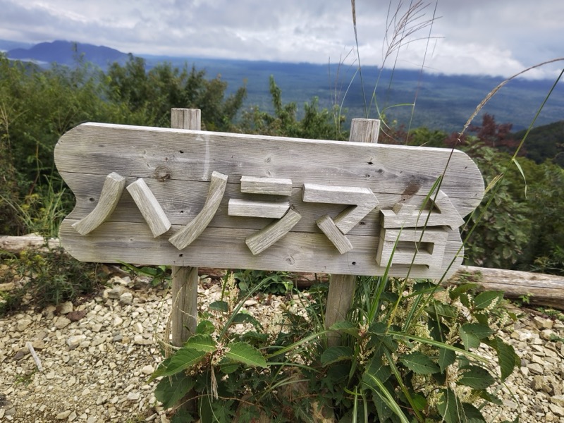 〓