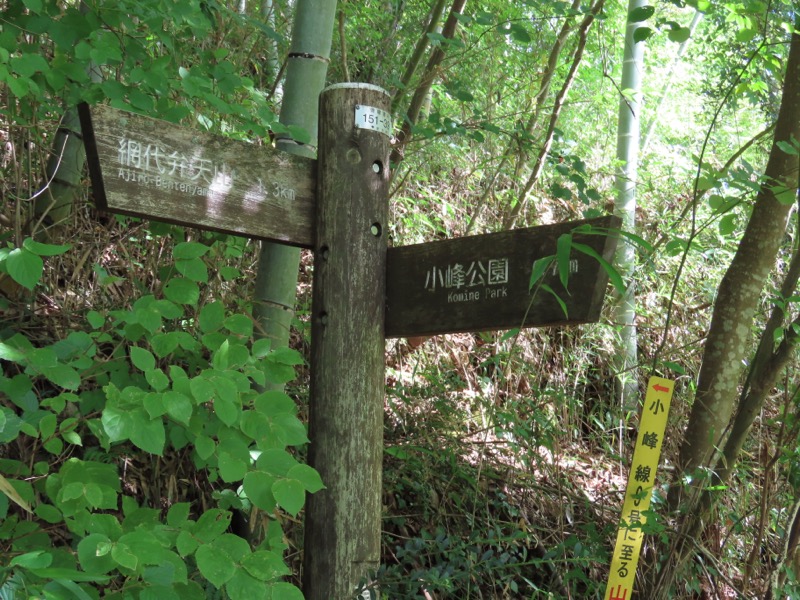網代城山