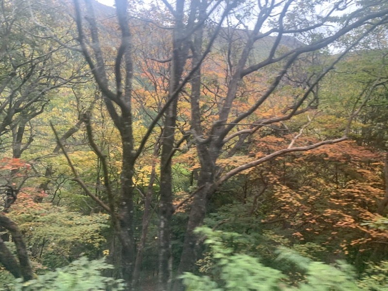 ＝山咲
