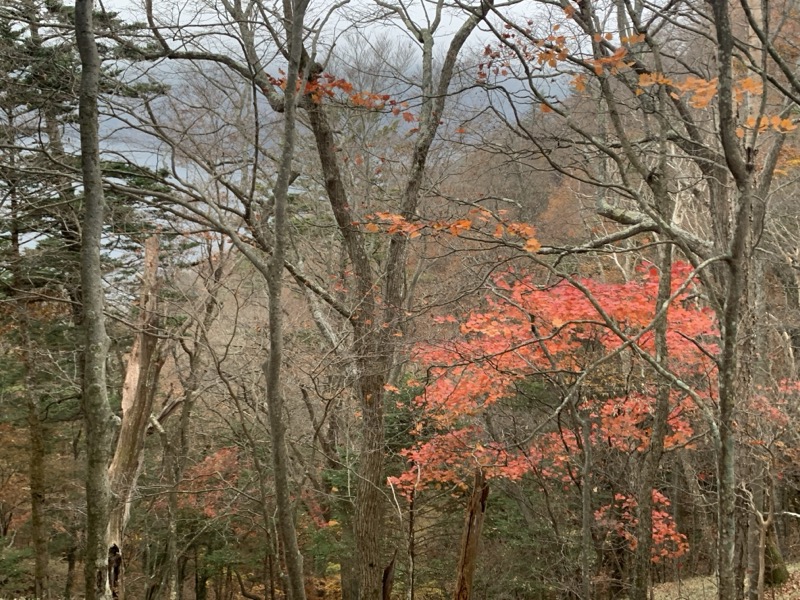 ＝山咲