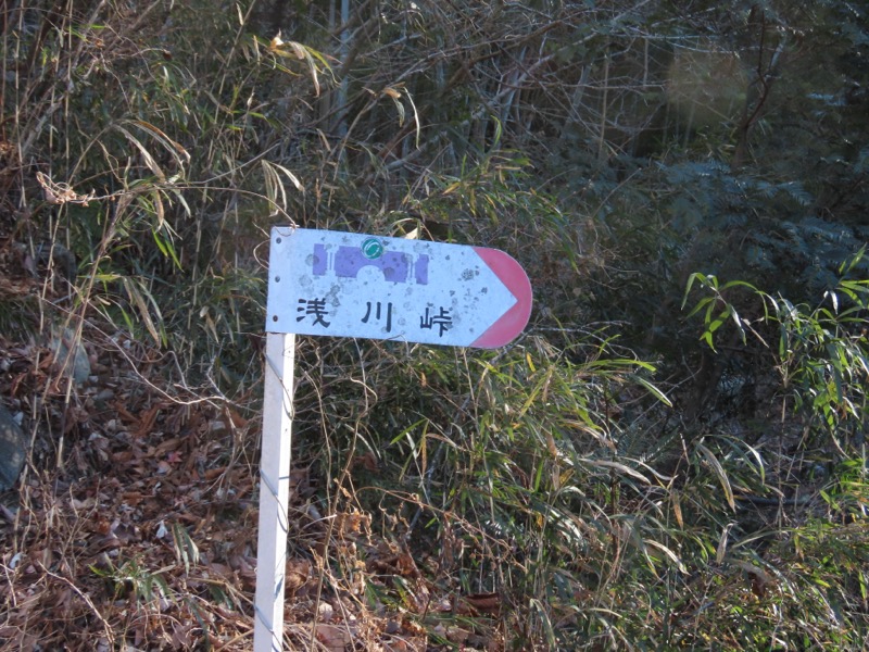 糸の会・権現山