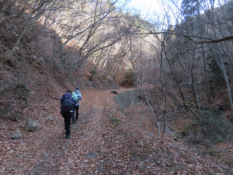 糸の会・権現山