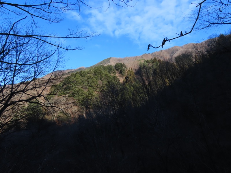糸の会・権現山