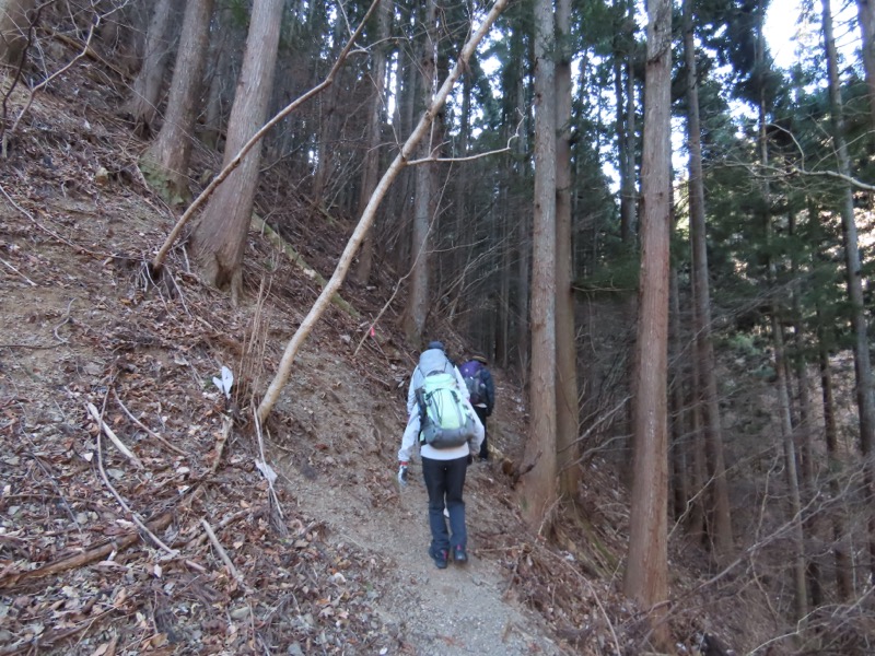 糸の会・権現山