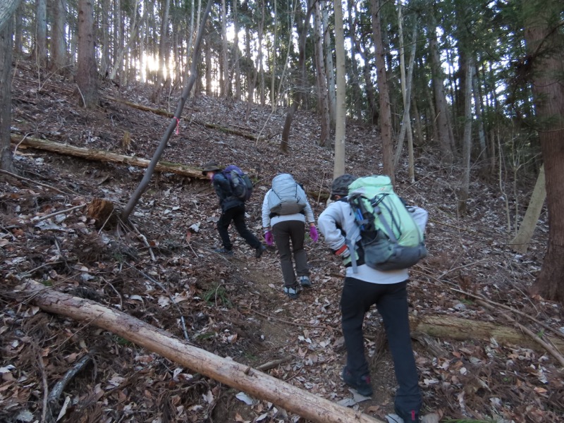 糸の会・権現山