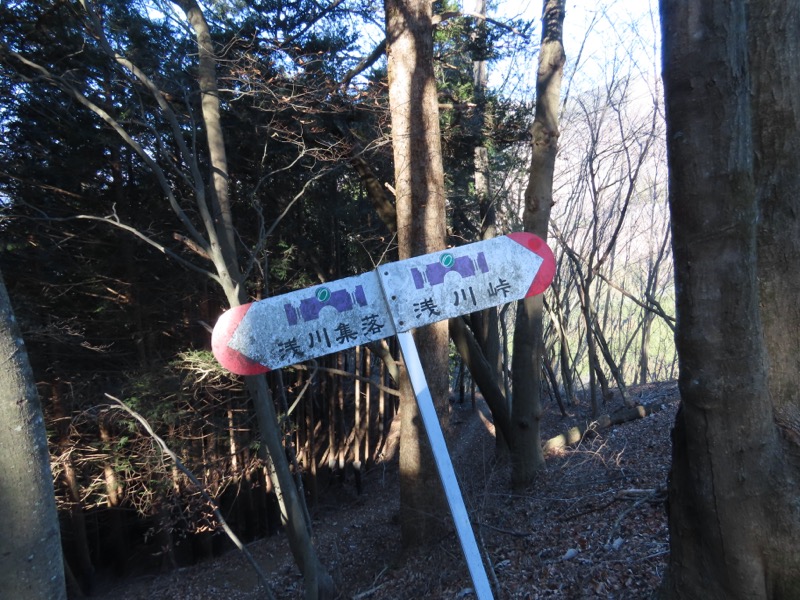 糸の会・権現山