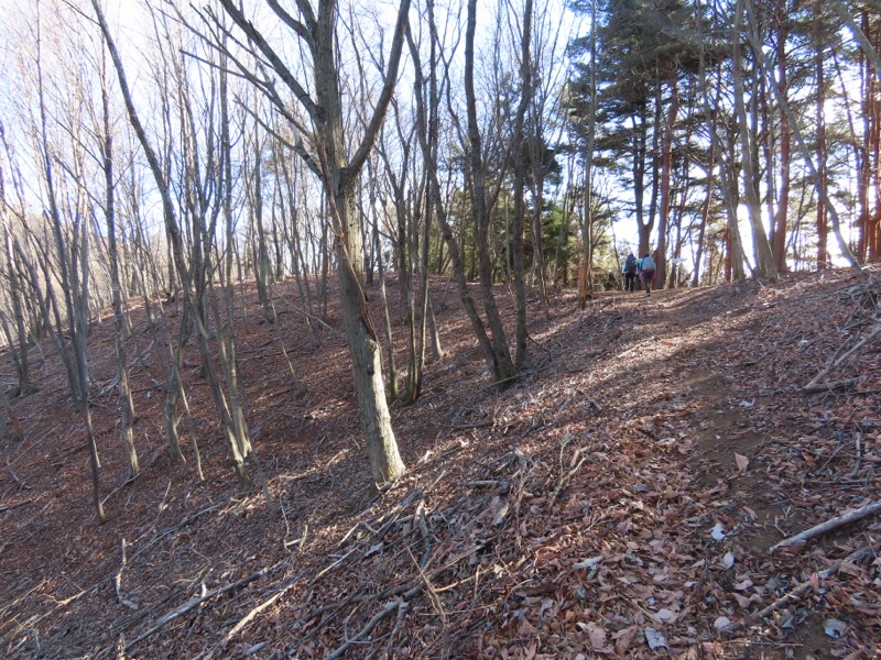 糸の会・権現山
