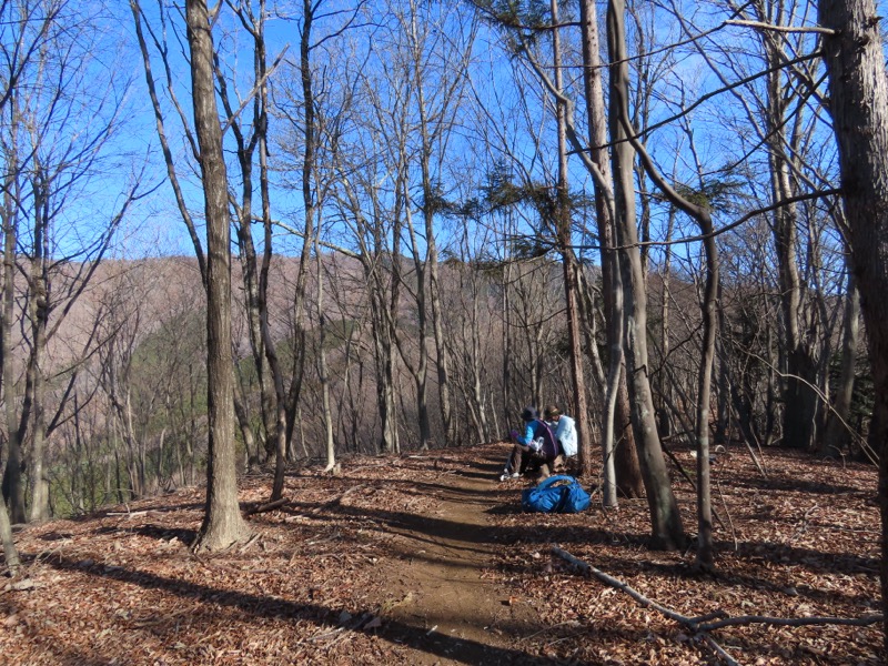 糸の会・権現山