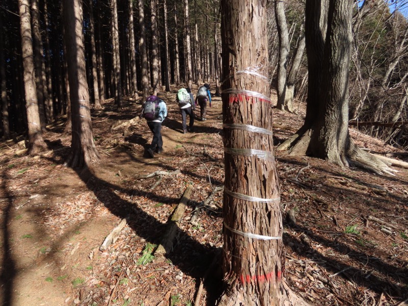 糸の会・権現山