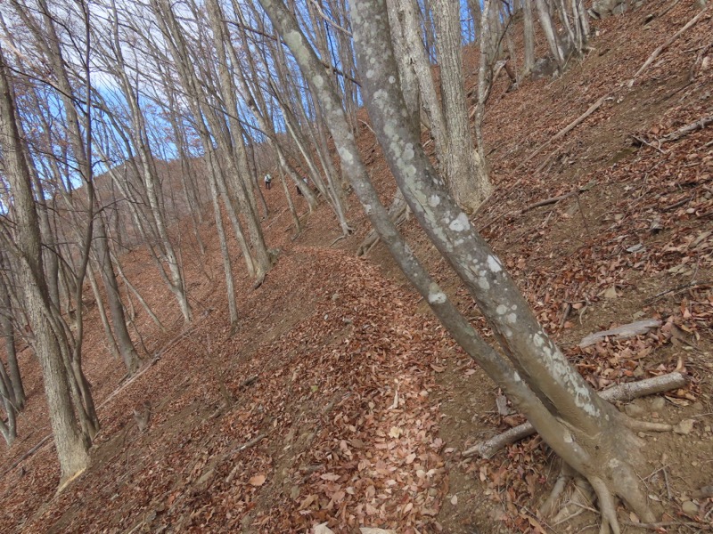 糸の会・権現山