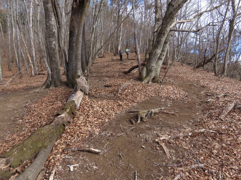 糸の会・権現山