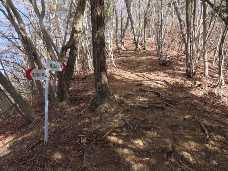 糸の会・権現山