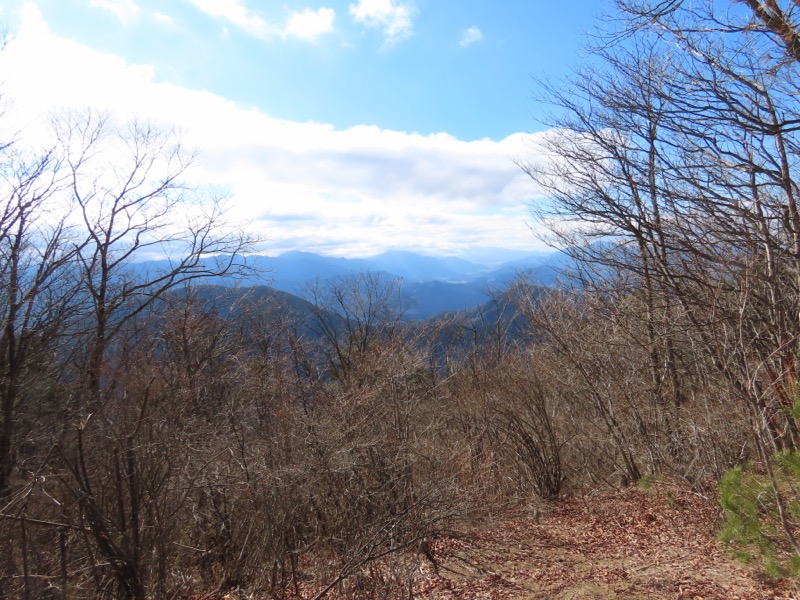 糸の会・権現山