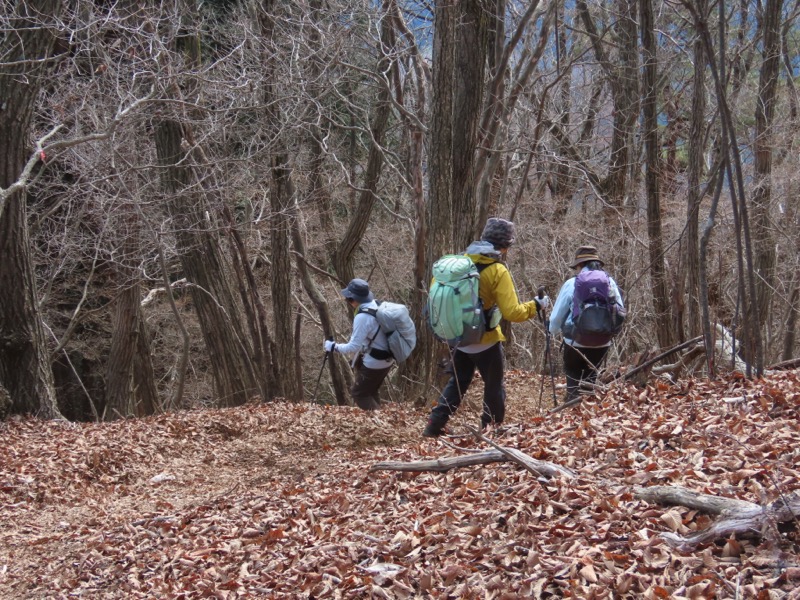 糸の会・権現山