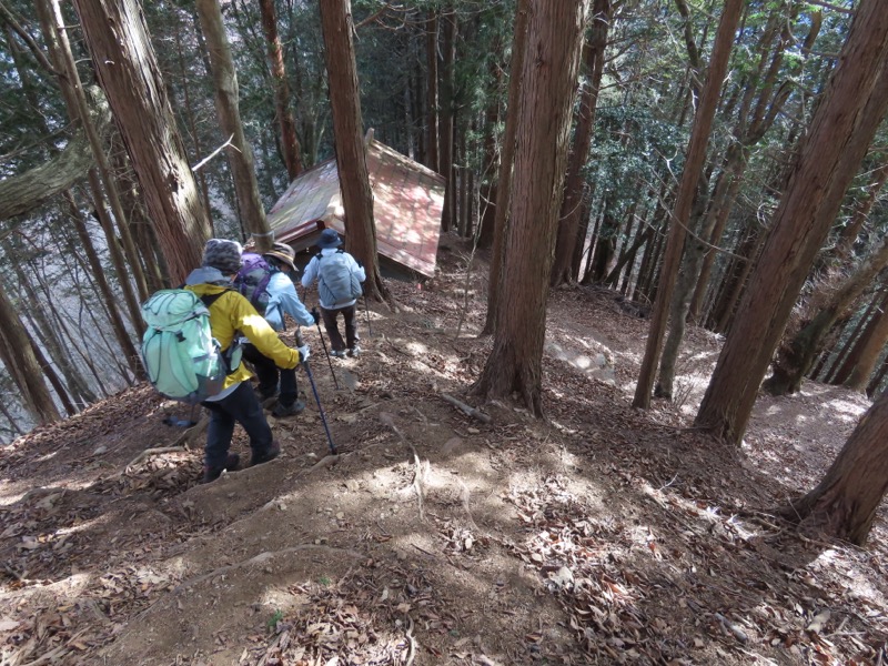 糸の会・権現山