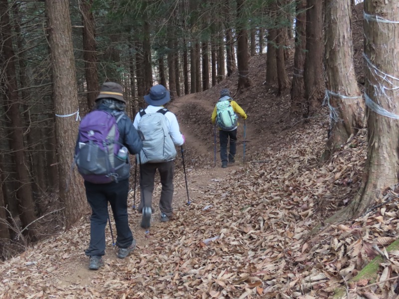 糸の会・権現山