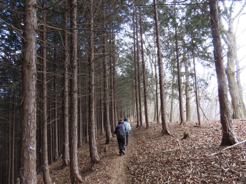 糸の会・権現山