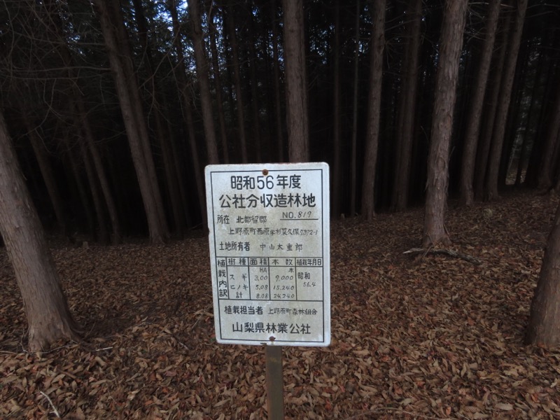 糸の会・権現山