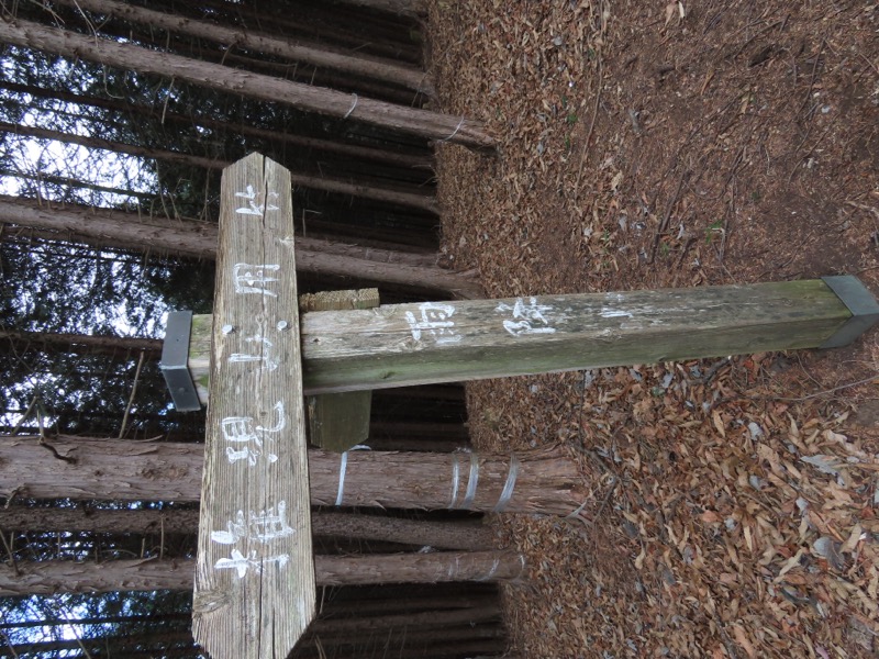 糸の会・権現山