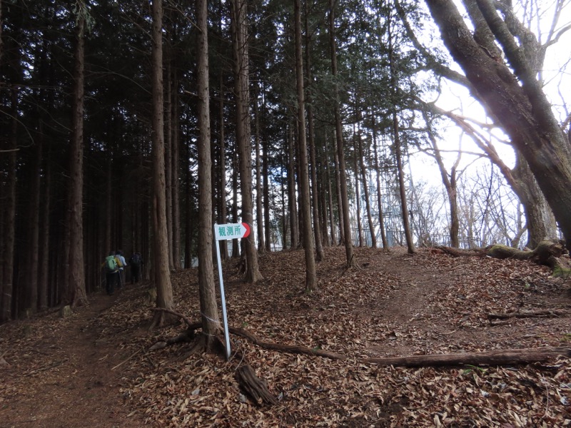 糸の会・権現山