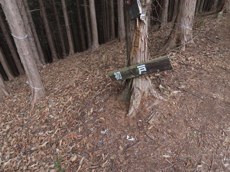 糸の会・権現山