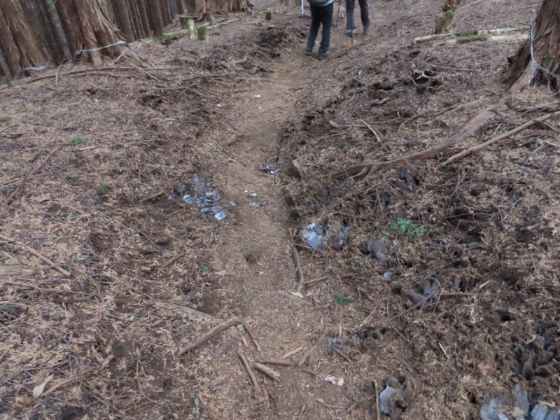 糸の会・権現山