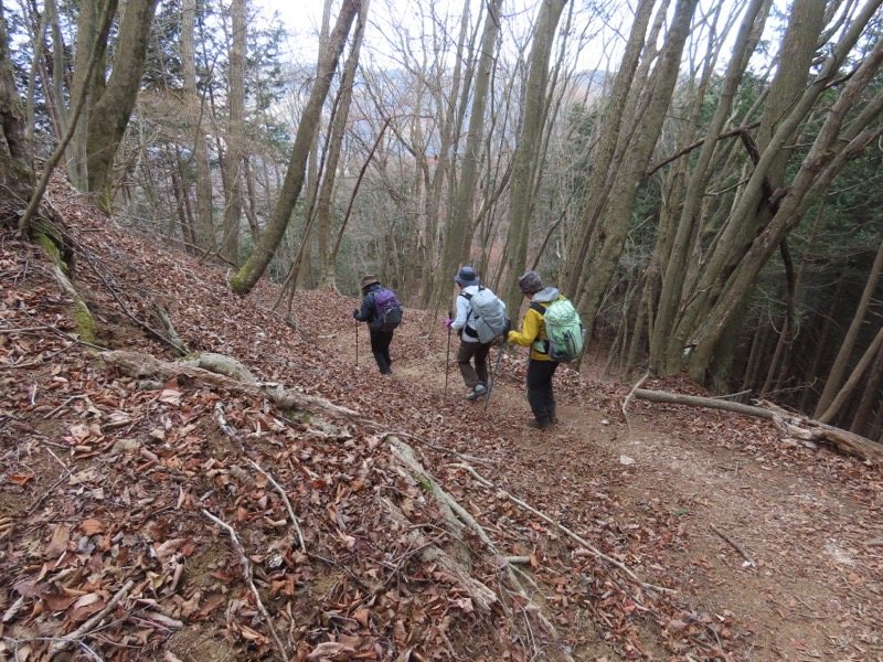 糸の会・権現山