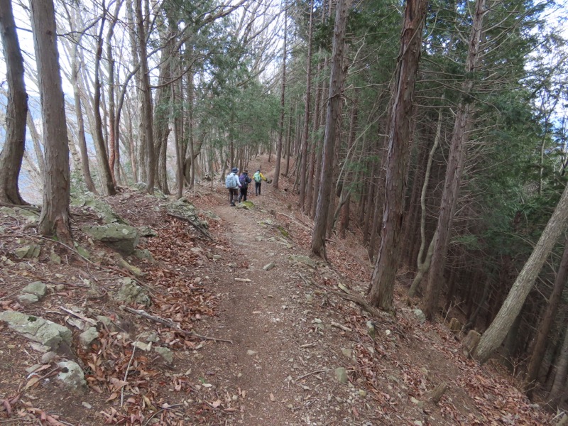 糸の会・権現山
