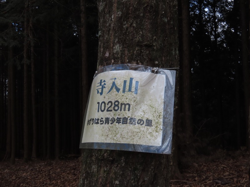 糸の会・権現山