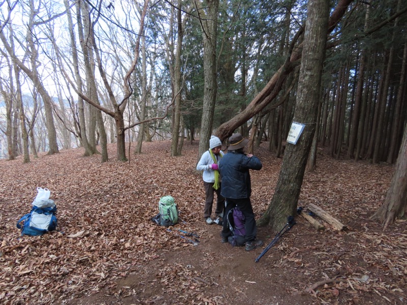 糸の会・権現山