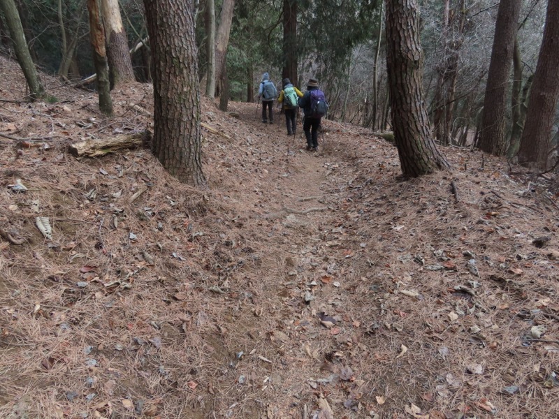 糸の会・権現山