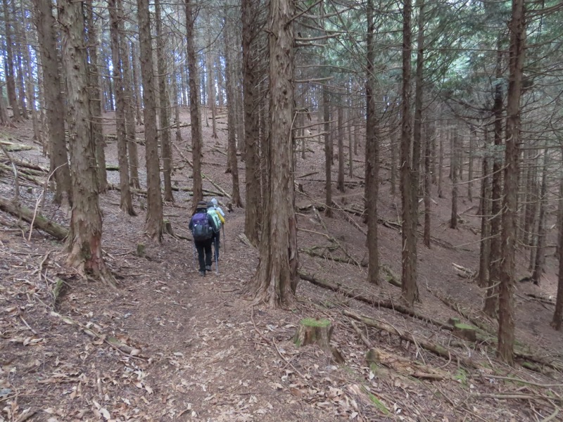 糸の会・権現山