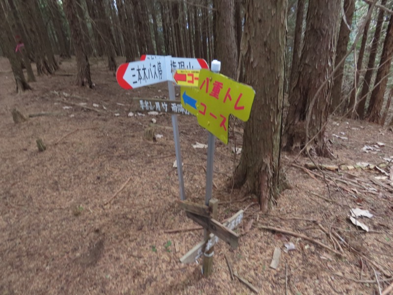 糸の会・権現山