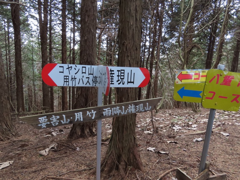 糸の会・権現山