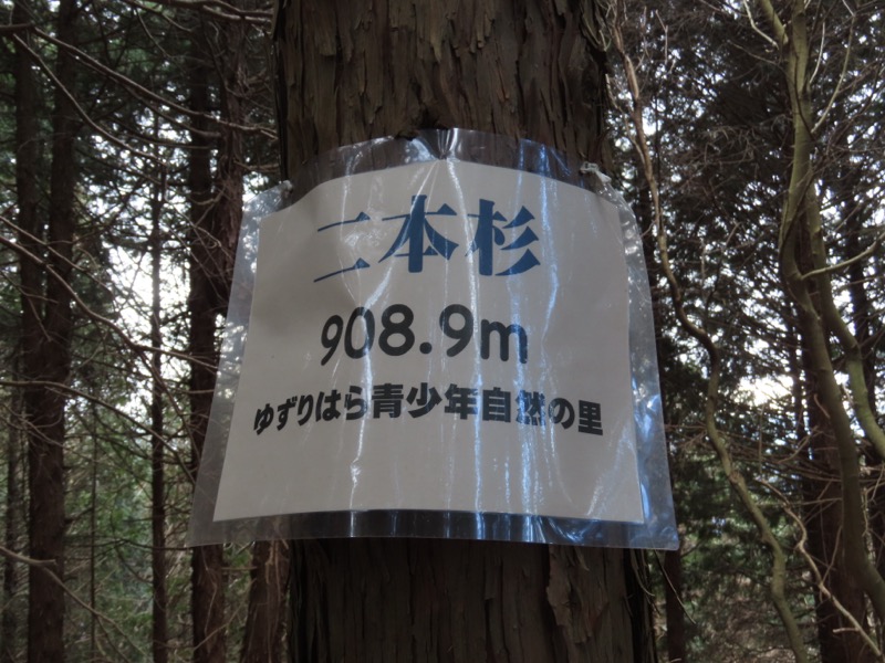 糸の会・権現山
