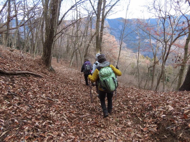 糸の会・権現山