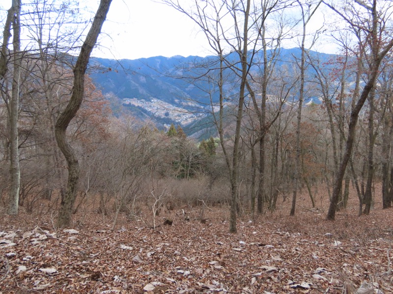 糸の会・権現山