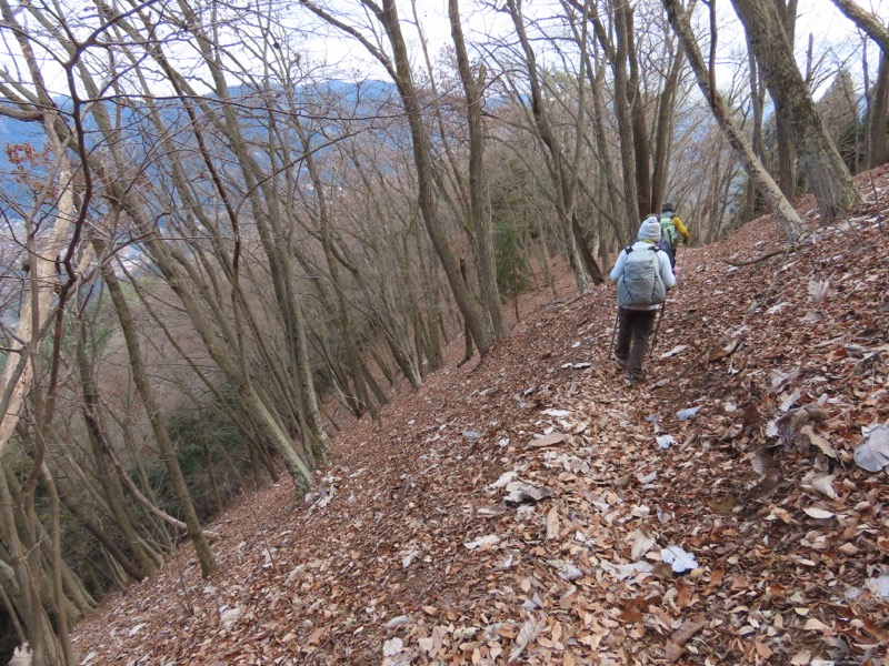 糸の会・権現山