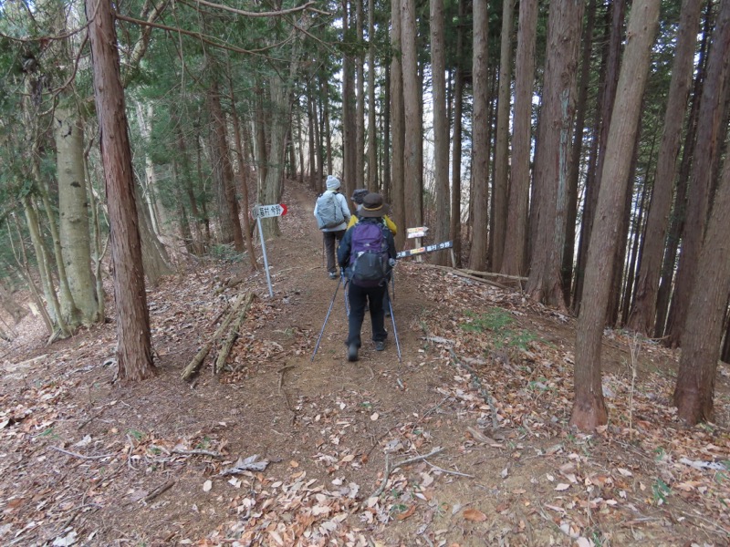 糸の会・権現山