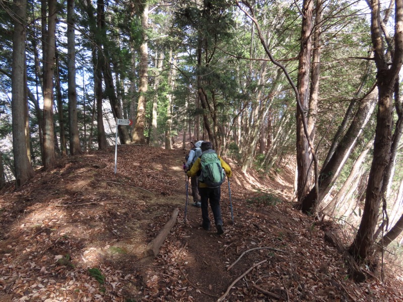 糸の会・権現山