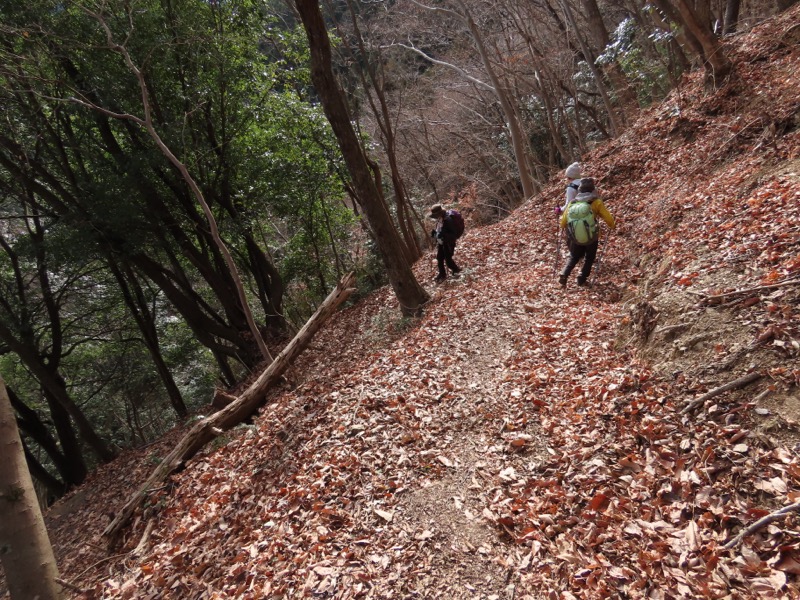 糸の会・権現山