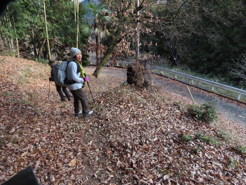 糸の会・権現山