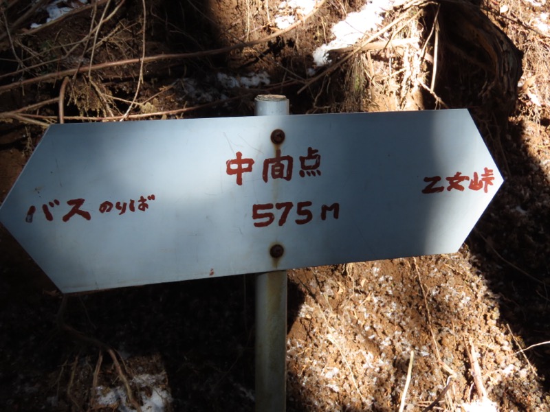 糸の会・金時山