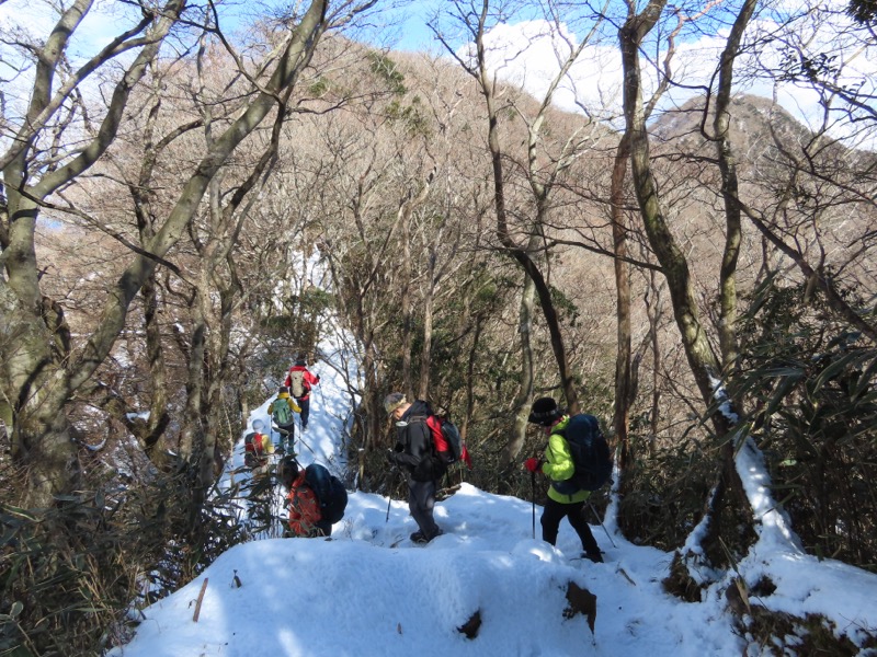 糸の会・金時山