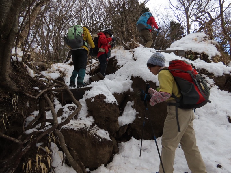糸の会・金時山