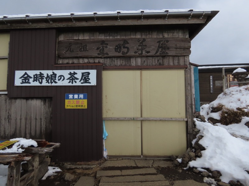 糸の会・金時山