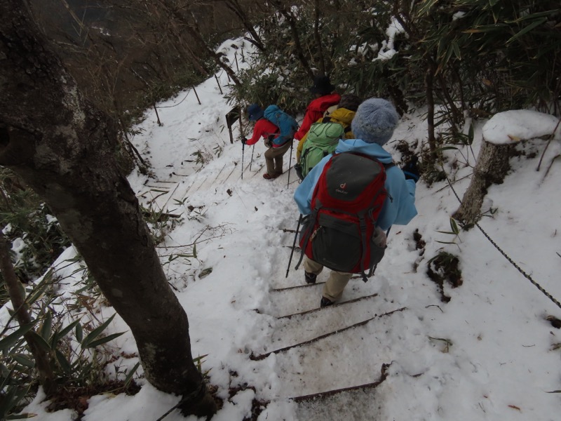 糸の会・金時山