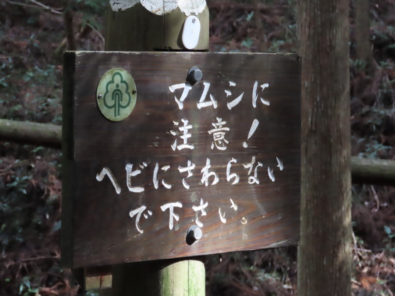 〓