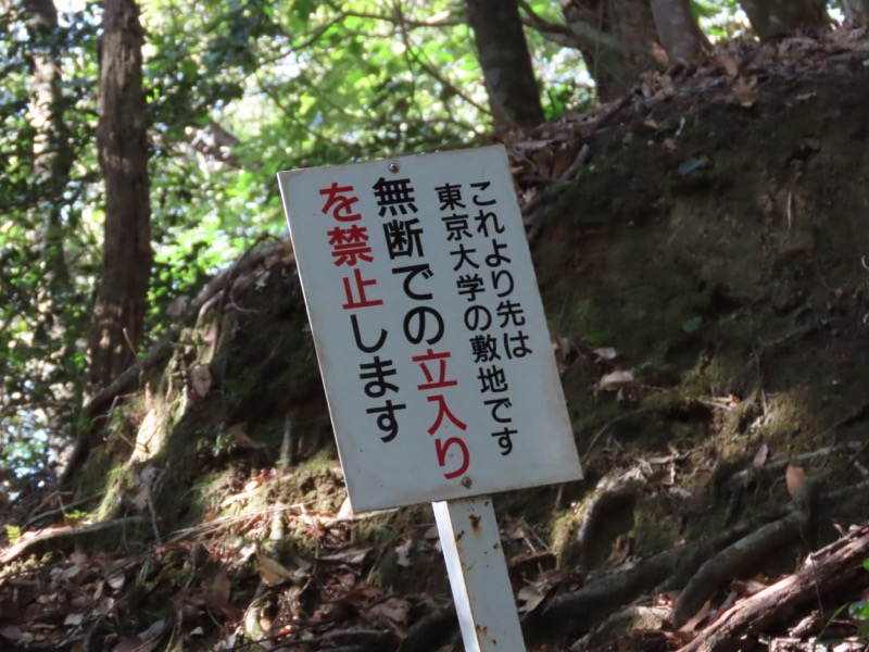 〓